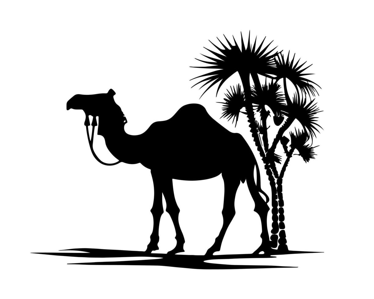 camelo silhueta Preto logotipo animais silhuetas ícones camelo cavaleiros deserto Palma silhueta vetor ilustração