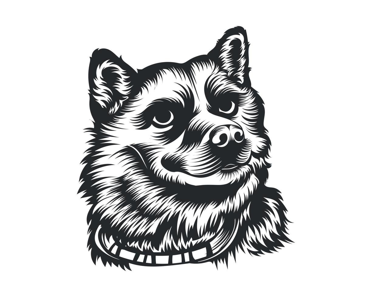 Shiba inu cachorro vetor ilustração, Shiba inu procriar vetor em branco fundo para camiseta , logotipo e outras