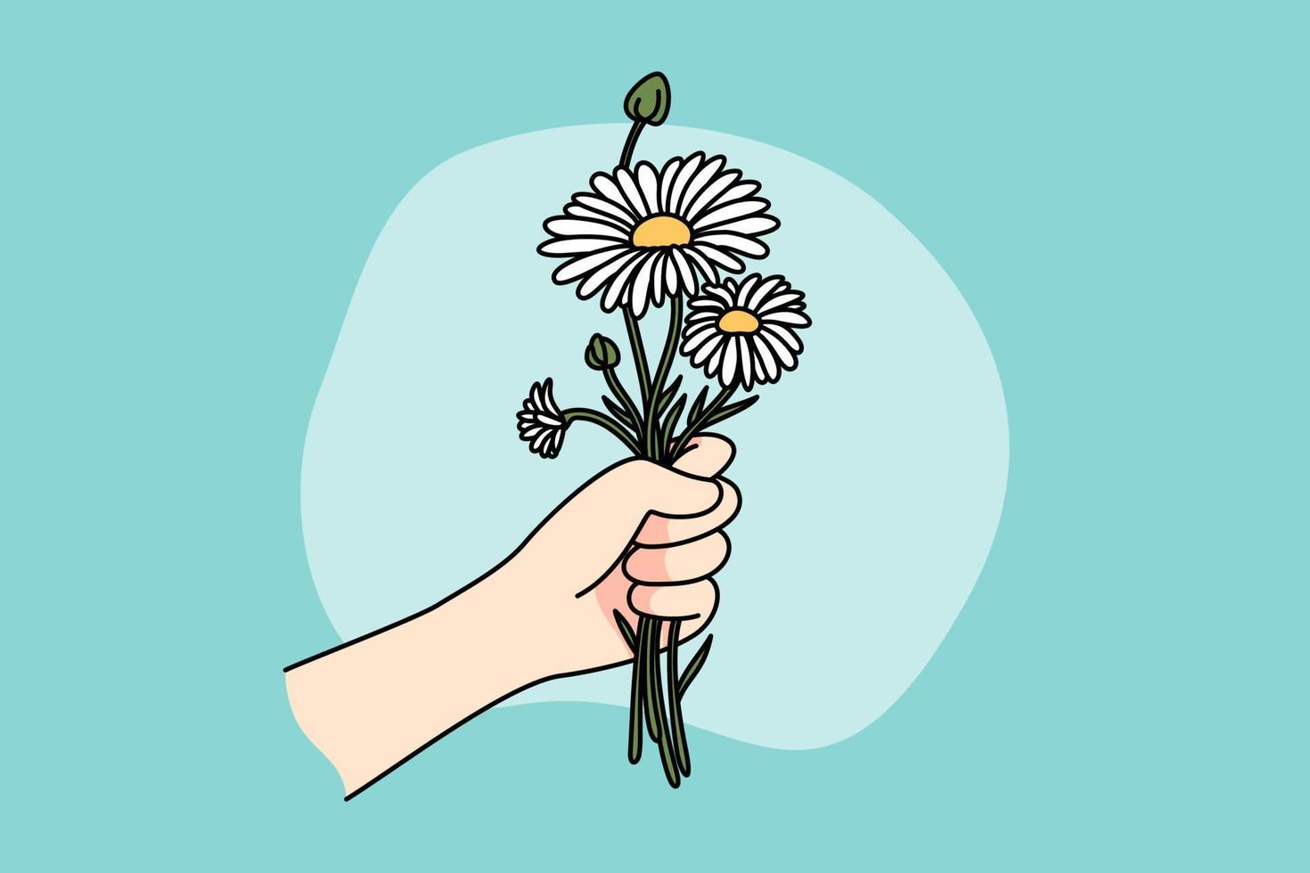 fechar acima do mão segurando margaridas felicitar com aniversário ou aniversário. pessoa com flores ramalhete apreciar verão plantar. plano vetor ilustração, desenho animado estilo.