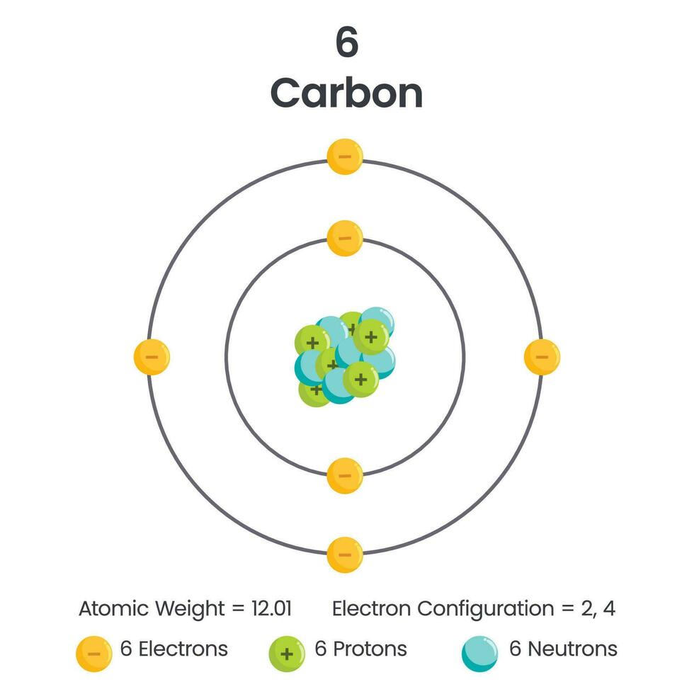 carbono elemento 6 elétron configuração vetor ilustração diagrama