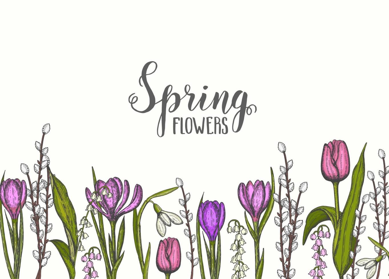 fundo de primavera com mão desenhada flores-lírios do vale, tulipa, salgueiro, floco de neve, açafrão. para papel de parede, plano de fundo de página da web, texturas de superfície. ilustração de gravura vetorial vetor