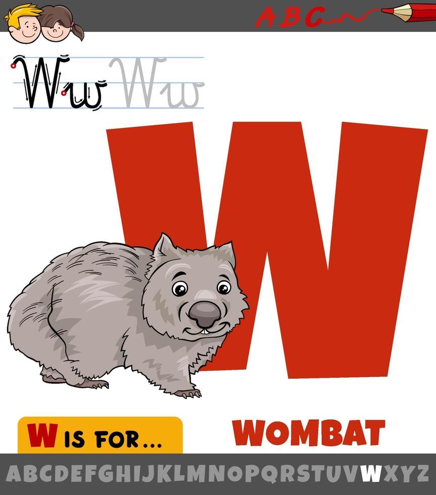 letra w do alfabeto com personagem de desenho animado wombat vetor