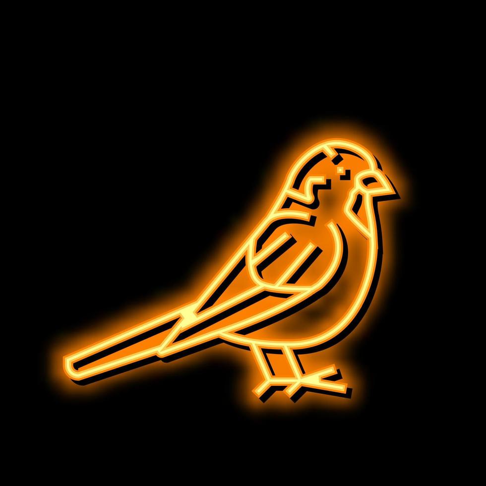 pardal pássaro néon brilho ícone ilustração vetor