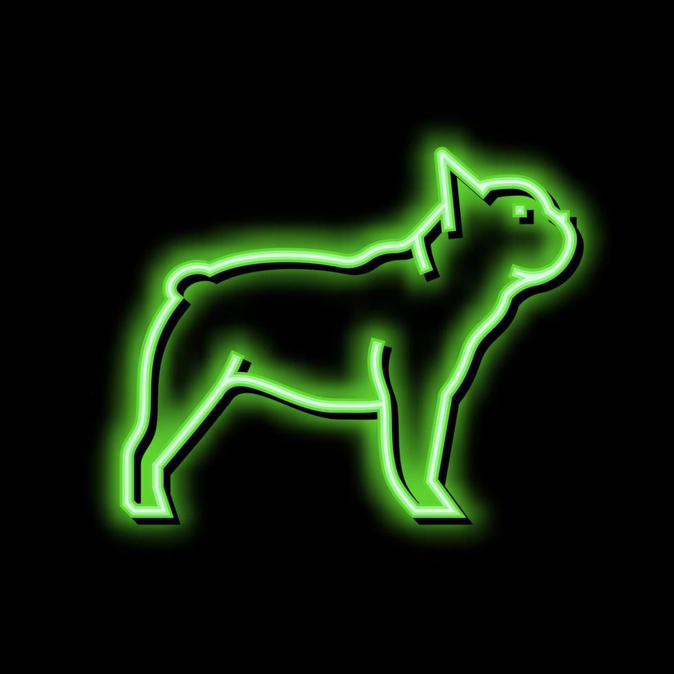 francês buldogue cachorro néon brilho ícone ilustração vetor