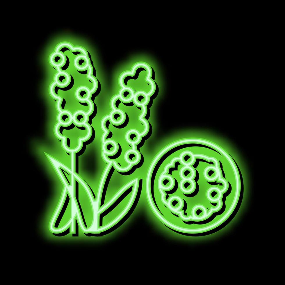 chumiz groat néon brilho ícone ilustração vetor