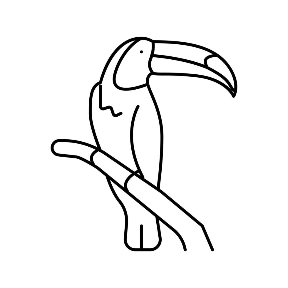 pássaro tucano na ilustração vetorial de ícone de linha de zoológico vetor