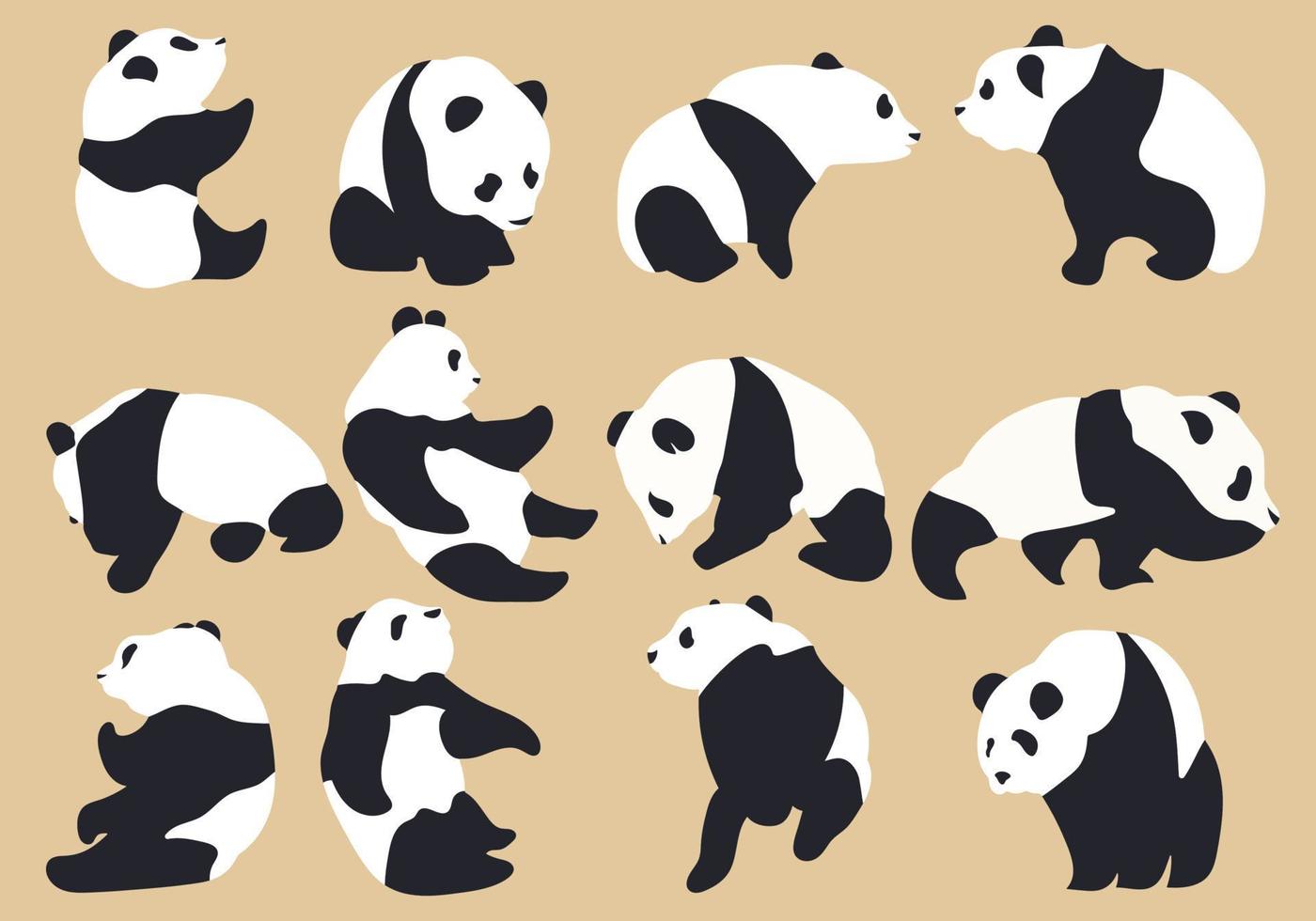 fofa panda ilustração com muitos variações vetor