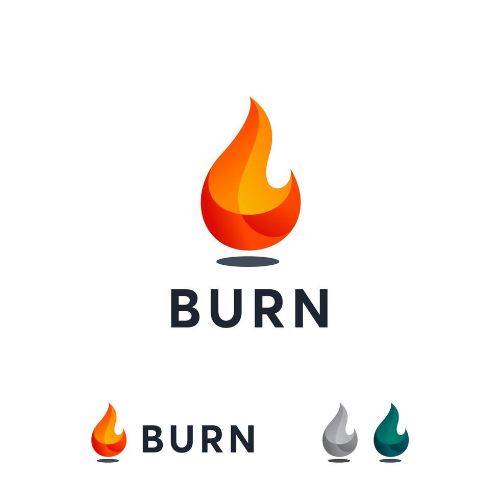 3D burn logo designs concept vector, fire flame logo designs template vetor