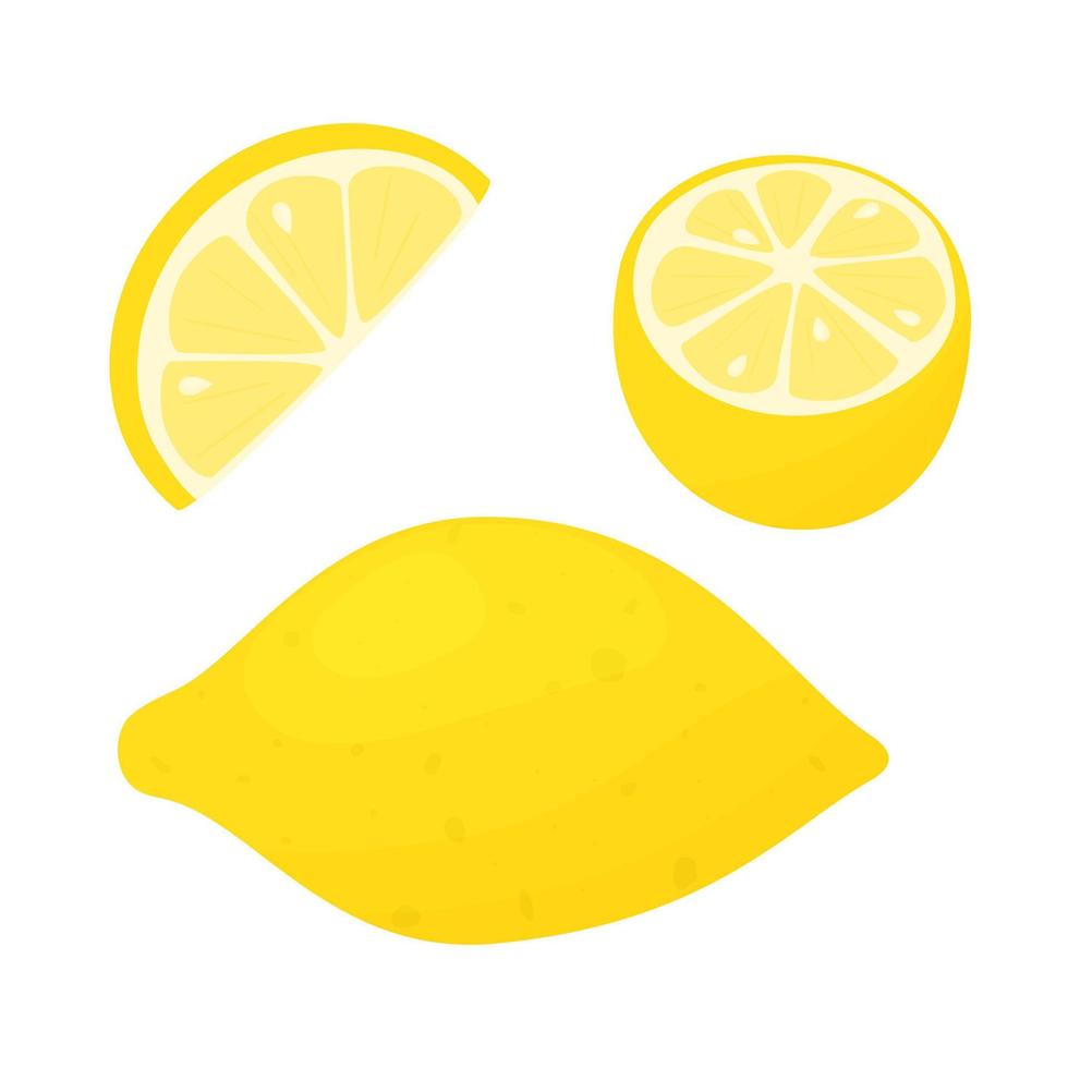 conjunto do limão peças vetor