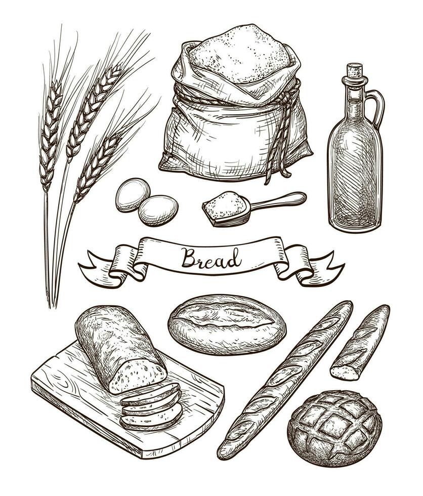 ingredientes e pão definir. mão desenhado vetor ilustração. isolado em branco fundo. vintage estilo.