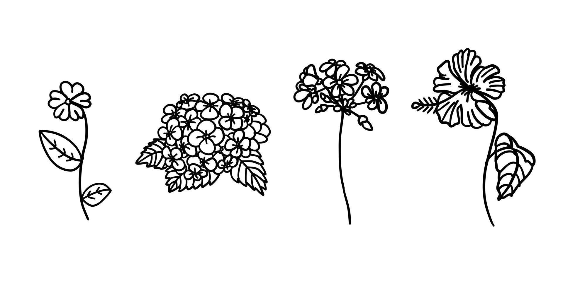 flores definidas em estilo plano de contorno doodle. ilustração vetorial em fundo branco. vetor