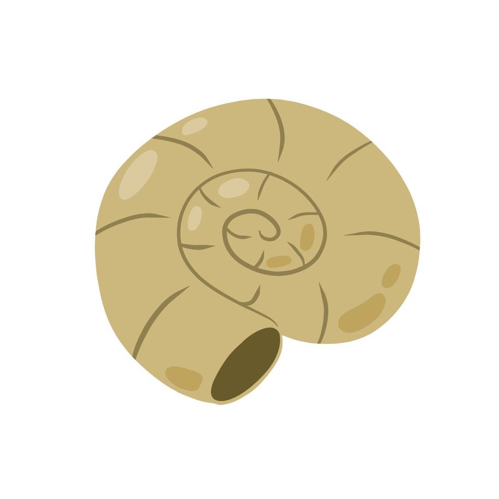 espiral Concha do Caracol ou molusco. decoração do aquário e natureza. simples rabisco desenho animado ilustração vetor