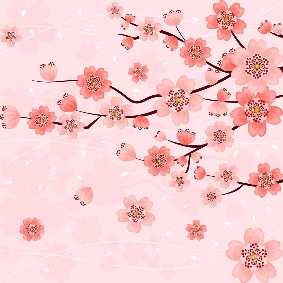lindas flores de cerejeira rosa gradiente vetor