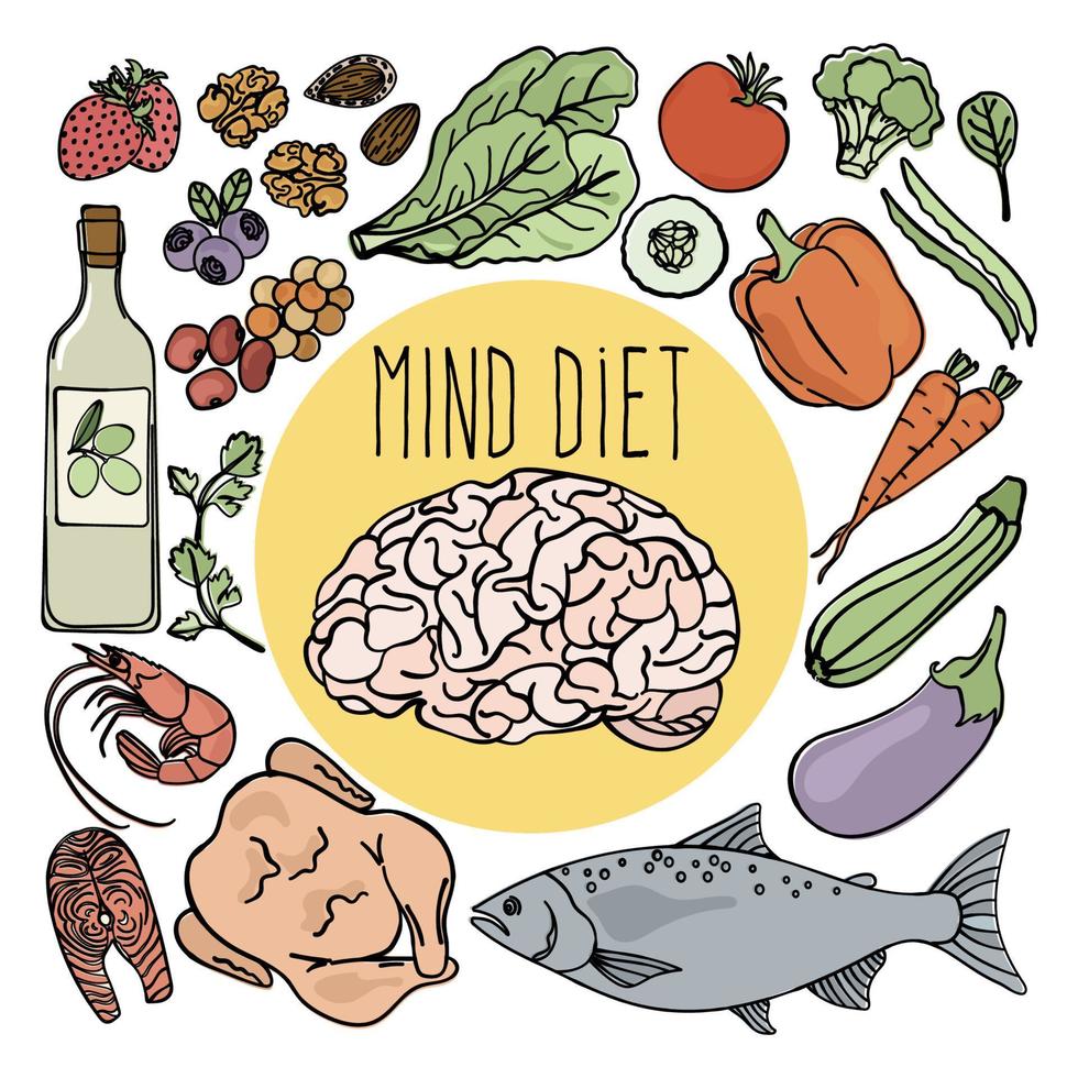 saudável cérebro mente dieta nutrição vetor ilustração conjunto