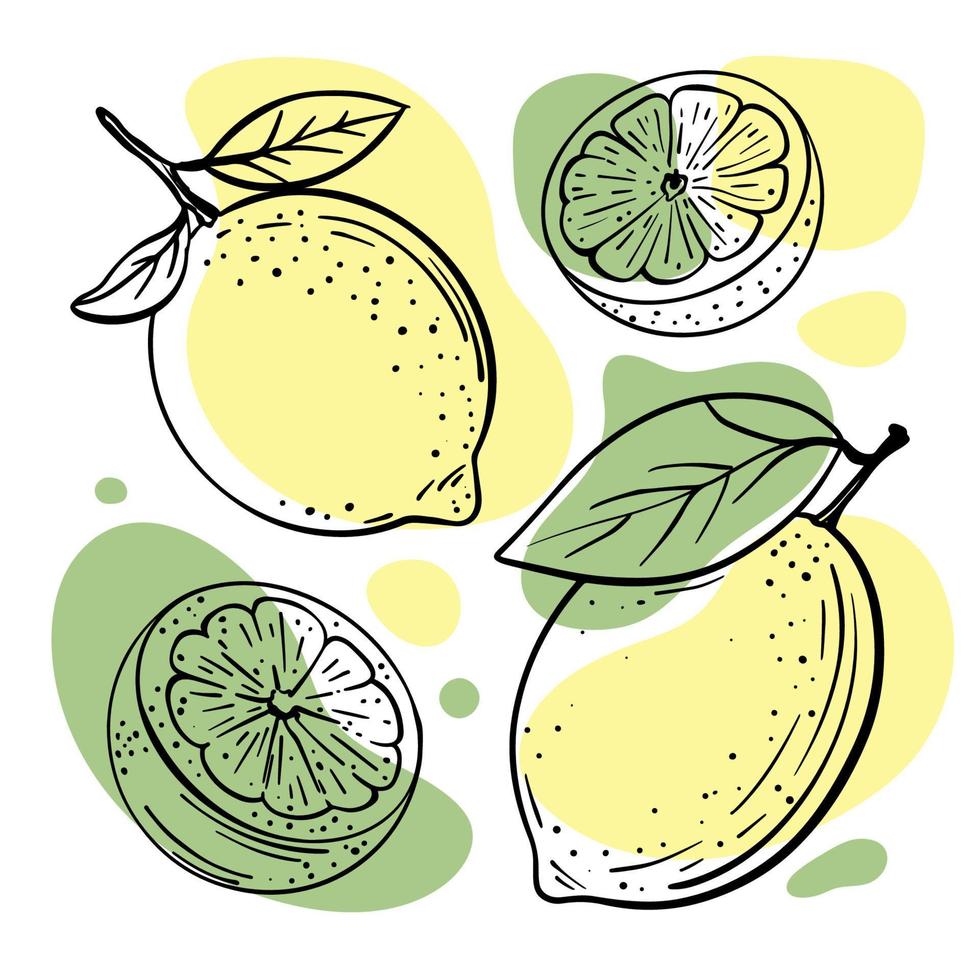 limão Lima delicioso fruta mão desenhado vetor ilustração conjunto