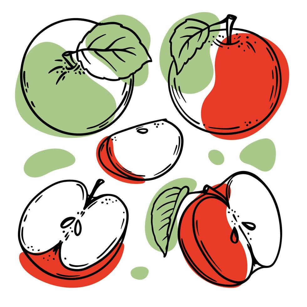 verde vermelho maçã delicioso fruta esboço vetor ilustração conjunto