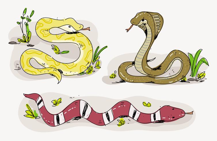 Cobra bonito dos desenhos animados mão desenhada ilustração vetorial vetor