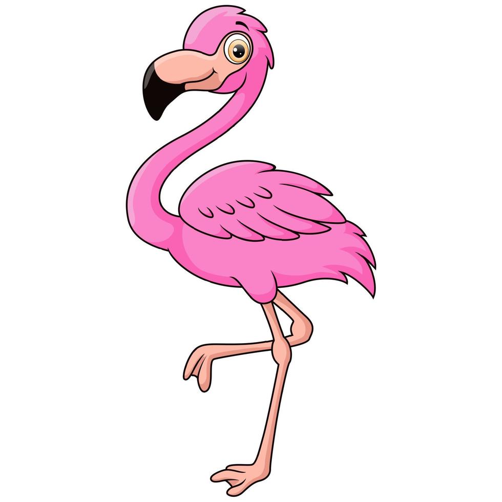 desenho de flamingo fofo no fundo branco vetor