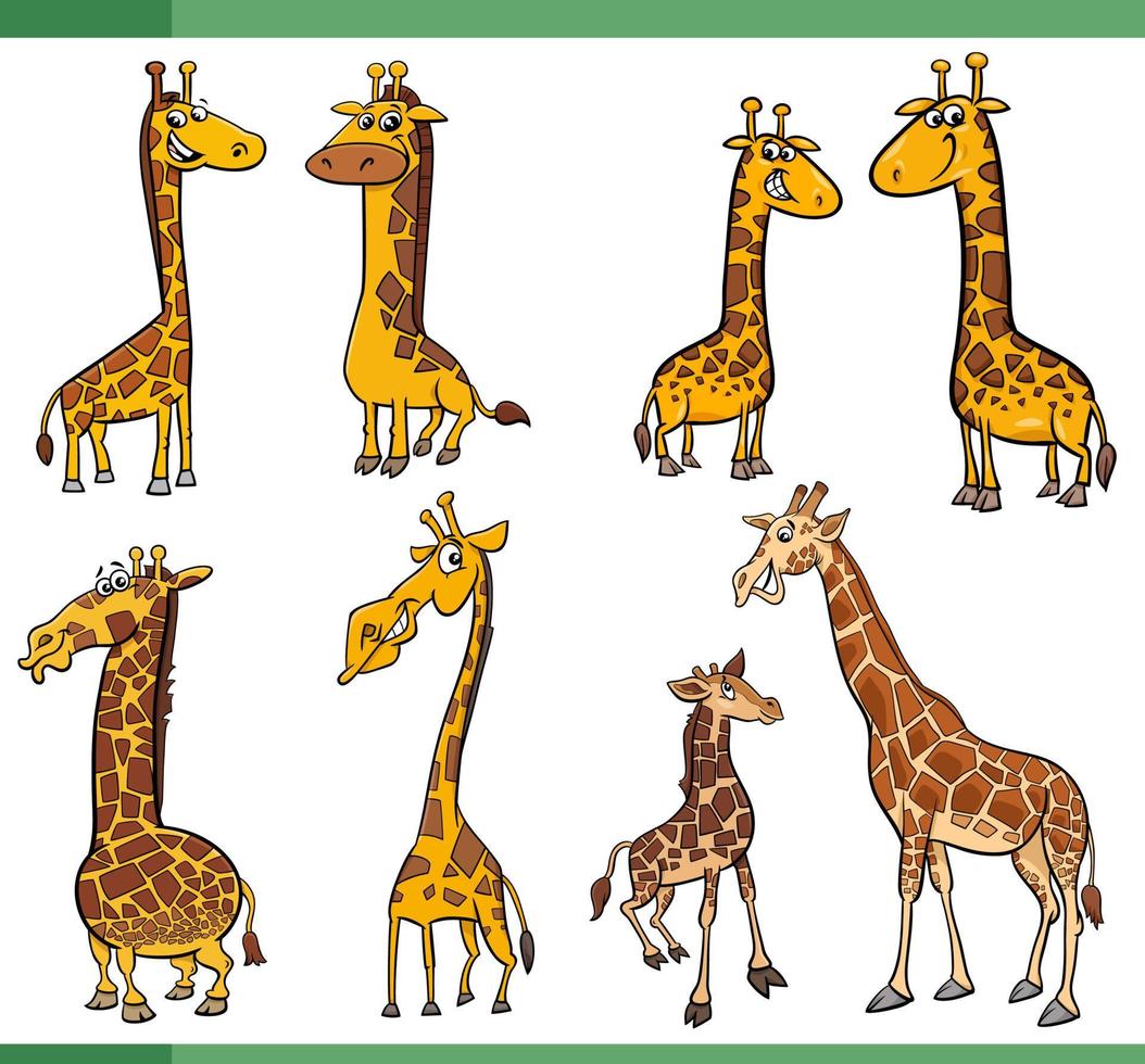 desenho animado engraçado girafas animais quadrinho personagens conjunto vetor