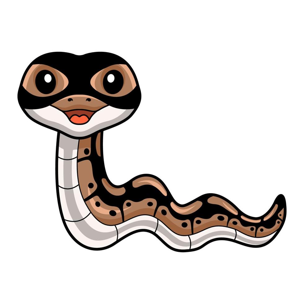 fofa bola Pitão serpente desenho animado vetor