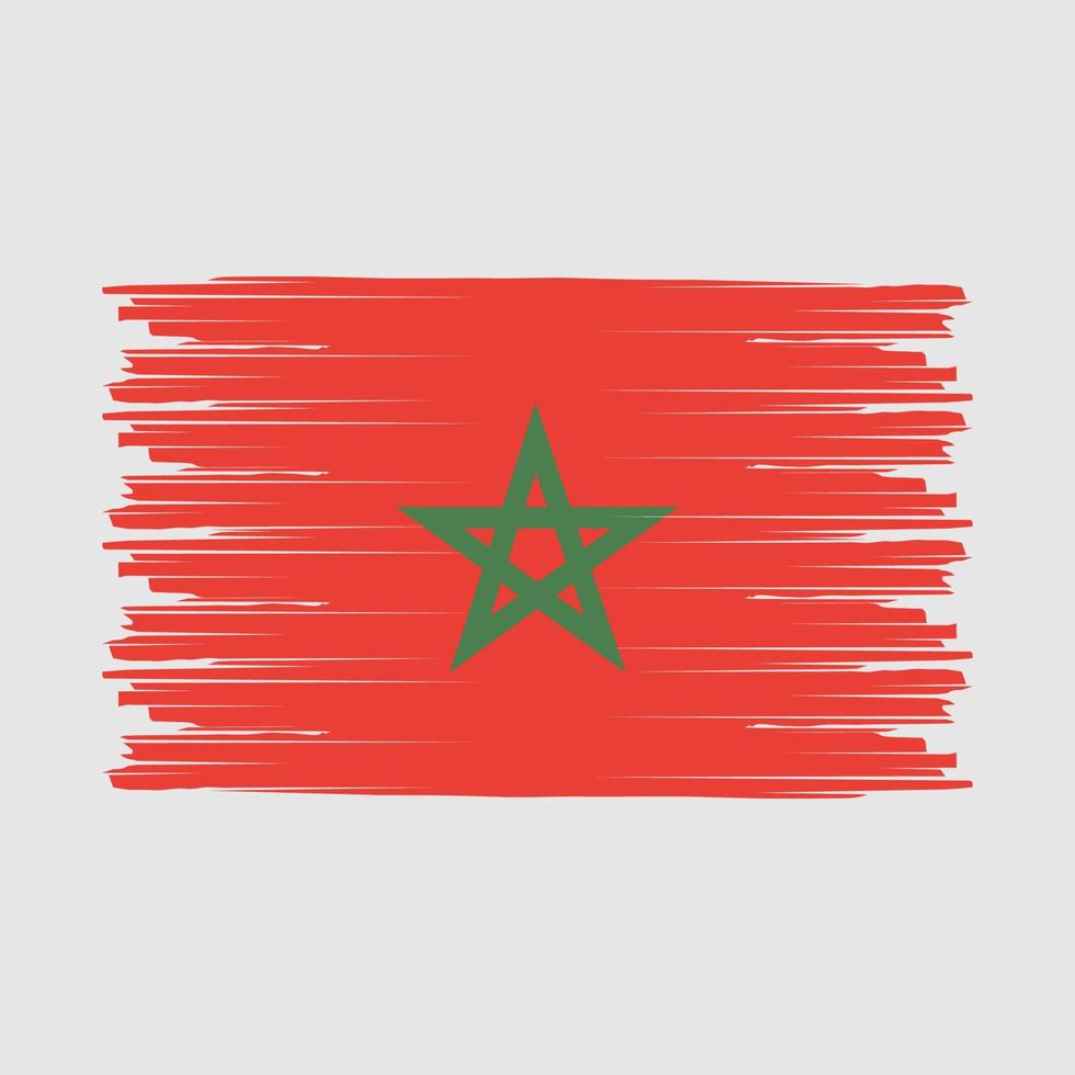 escova de bandeira de Marrocos vetor