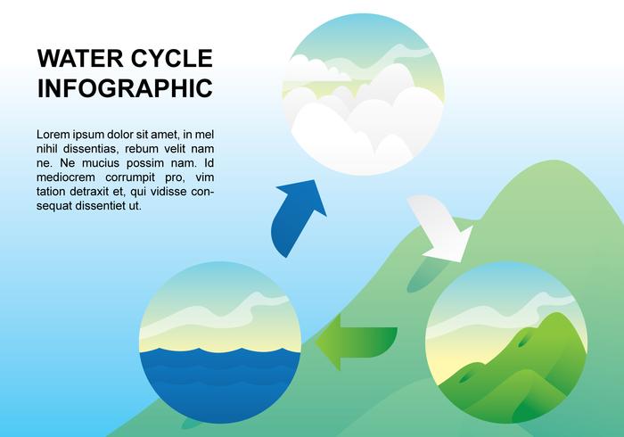 Infográfico de ciclo da água vetor