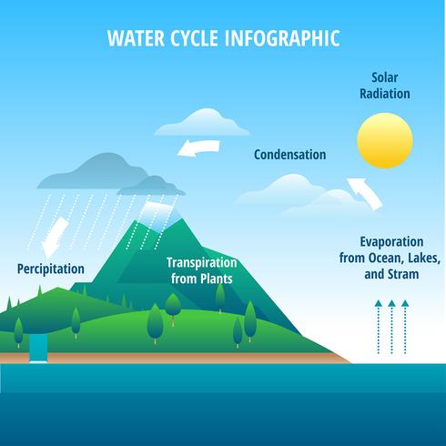 Vetor de infográfico de ciclo de água