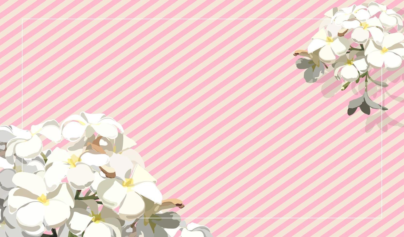 flor de frangipani tropical vintage em faixa de fundo rosa pastel vetor