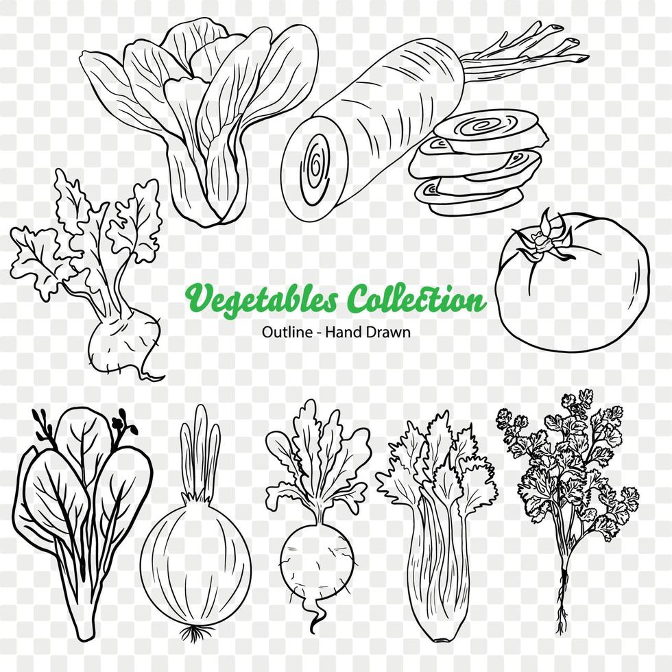 legumes vetor ilustração, agricultura plantar, salada ingrediente, vegetal fazenda, vegano comida, orgânico Comida