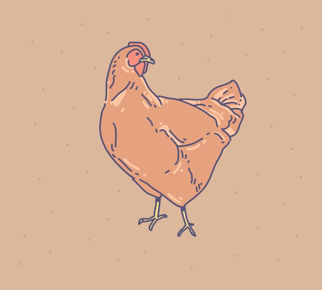 estilo de desenho de galinha. estilo de desenho de imaginação vetor