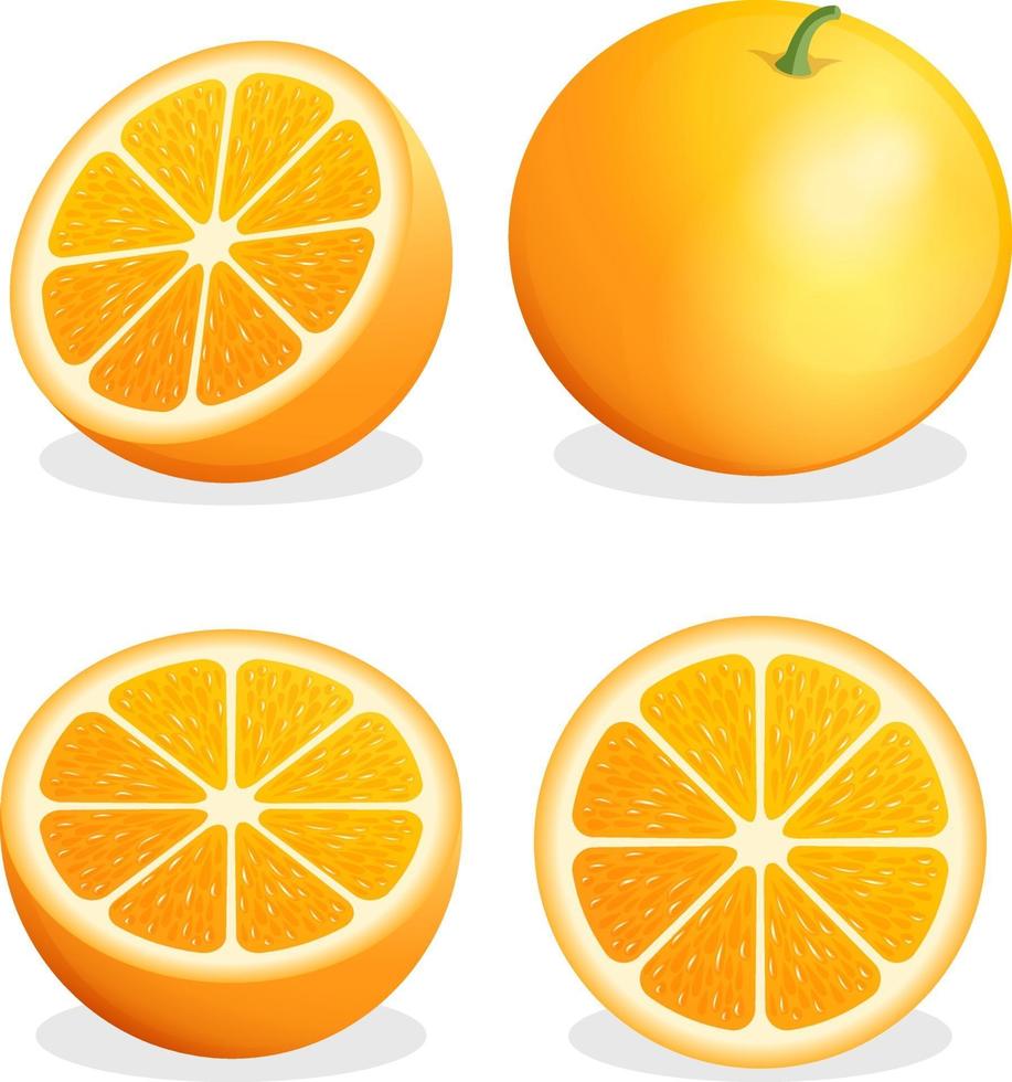 fruta laranja. ilustração vetorial. vetor
