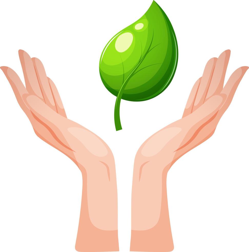 vetor imagem do mãos apontando acima com freen folha em transparente fundo. meio Ambiente proteção, renovável energia, sustentável desenvolvimento, renovável energia, vida ecológica