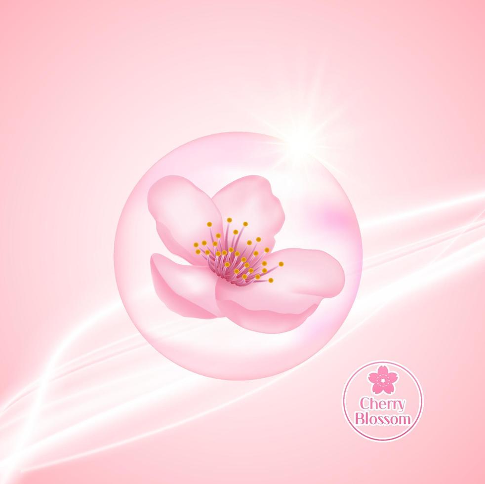 cereja florescer, sakura ramo com Rosa flores ilustração. vetor