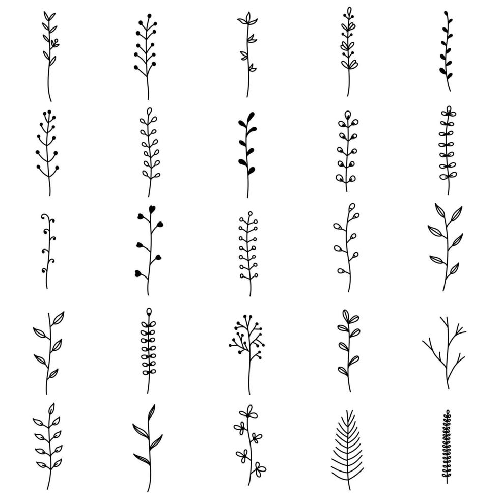 coleção com ramos, flores e ervas com folhas vetor