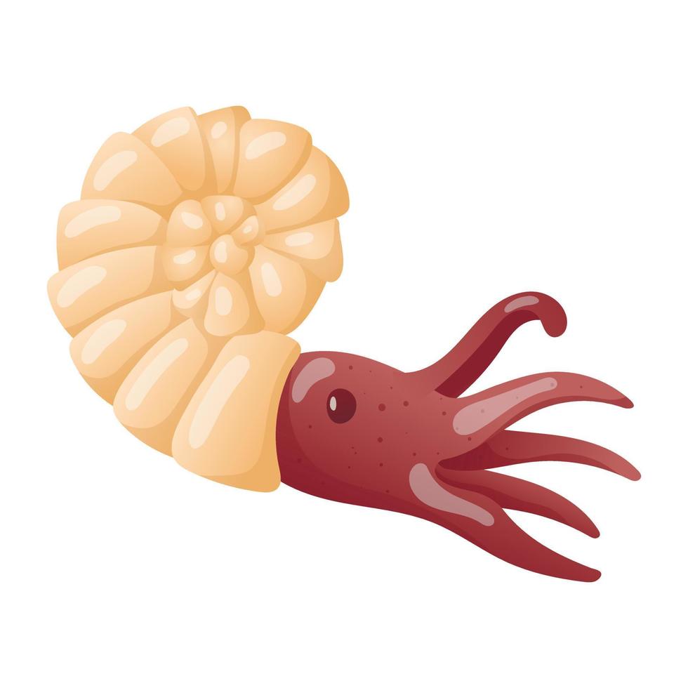 vetor isolado ilustração em branco fundo. desenho animado cenário do nautilus, mar molusco. decoração elemento em a tema do marinho vida e verão feriados.