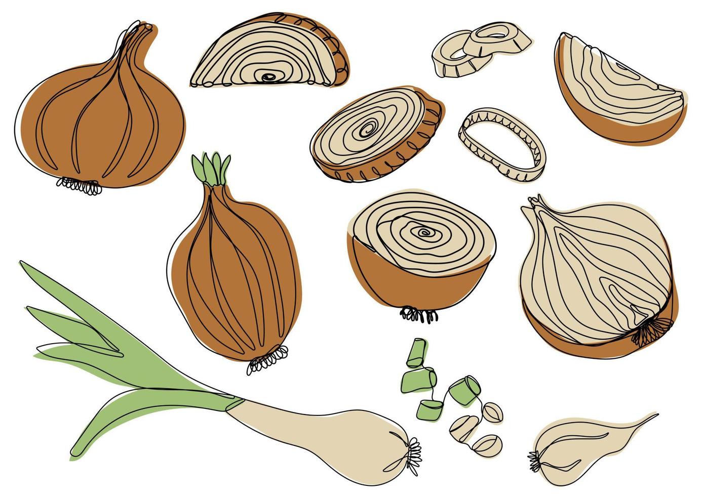 cebola definir. vetor ilustração