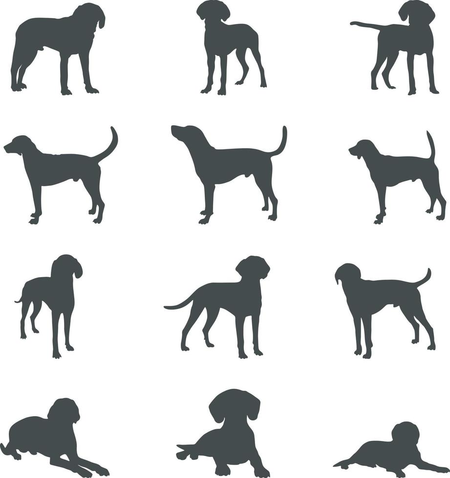 americano foxhound cachorro silhuetas, americano foxhound silhueta, americano foxhound svg, americano foxhound vetor