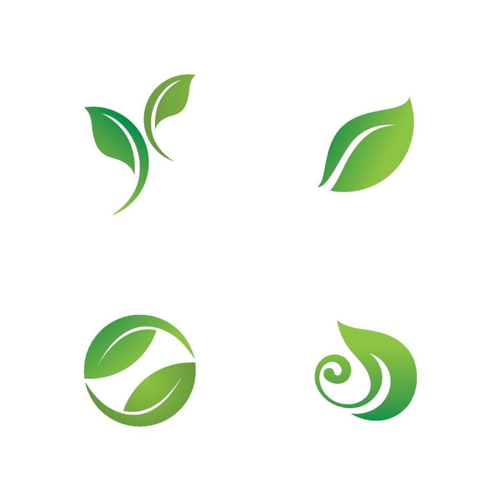 logotipos da ecologia de folhas verdes vetor