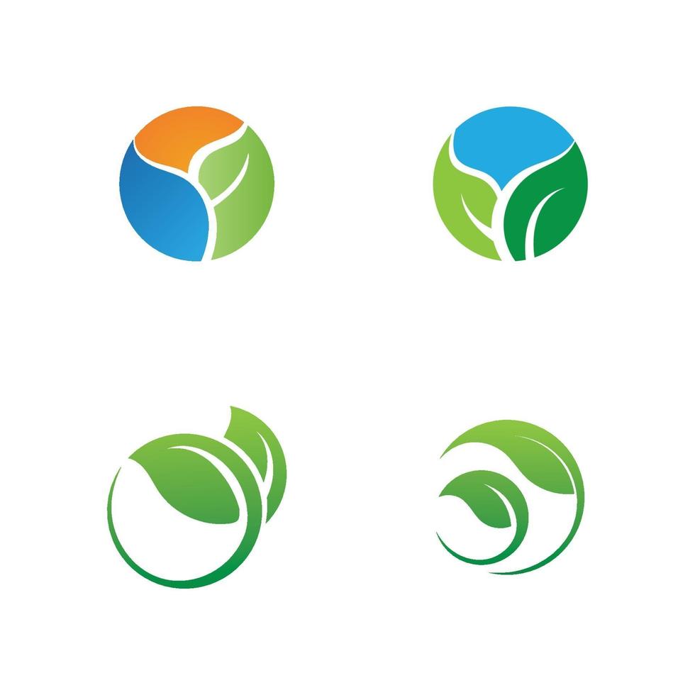 logotipos da ecologia de folhas verdes vetor