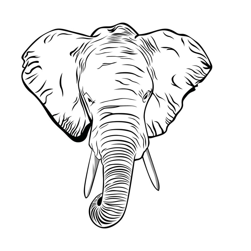 desenho e esboço de cabeça de elefante vetor