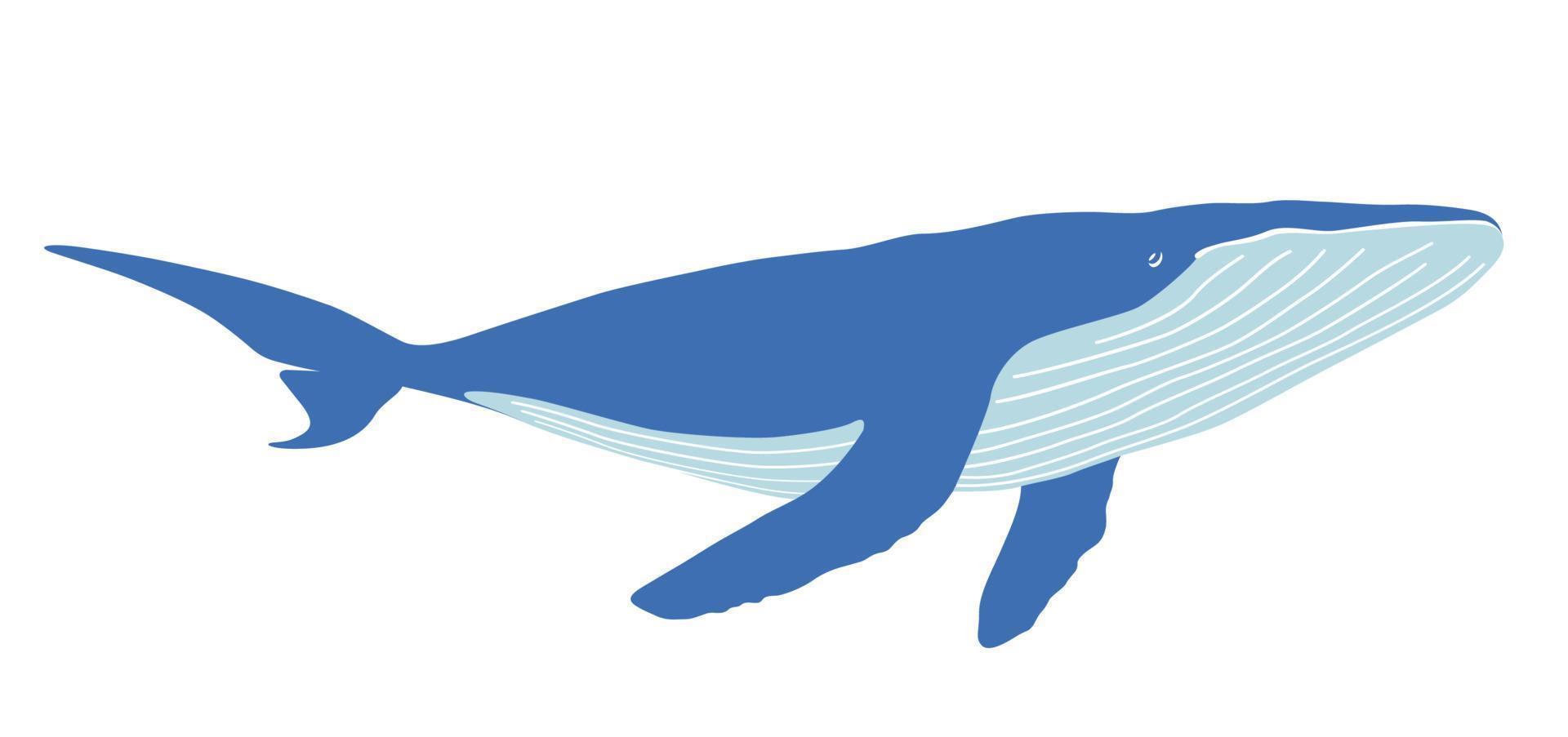 vetor baleia plano silhueta ilustração isolado em uma branco fundo.