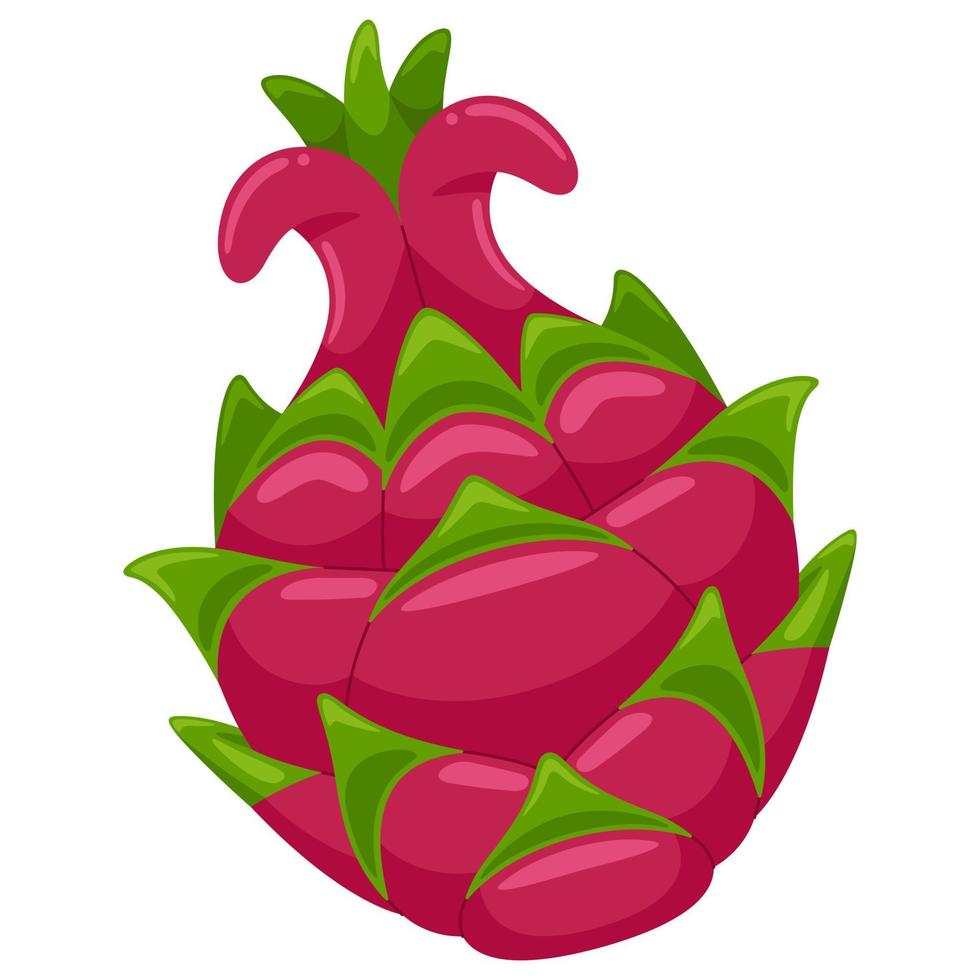 ilustração vetorial de fruta do dragão vetor