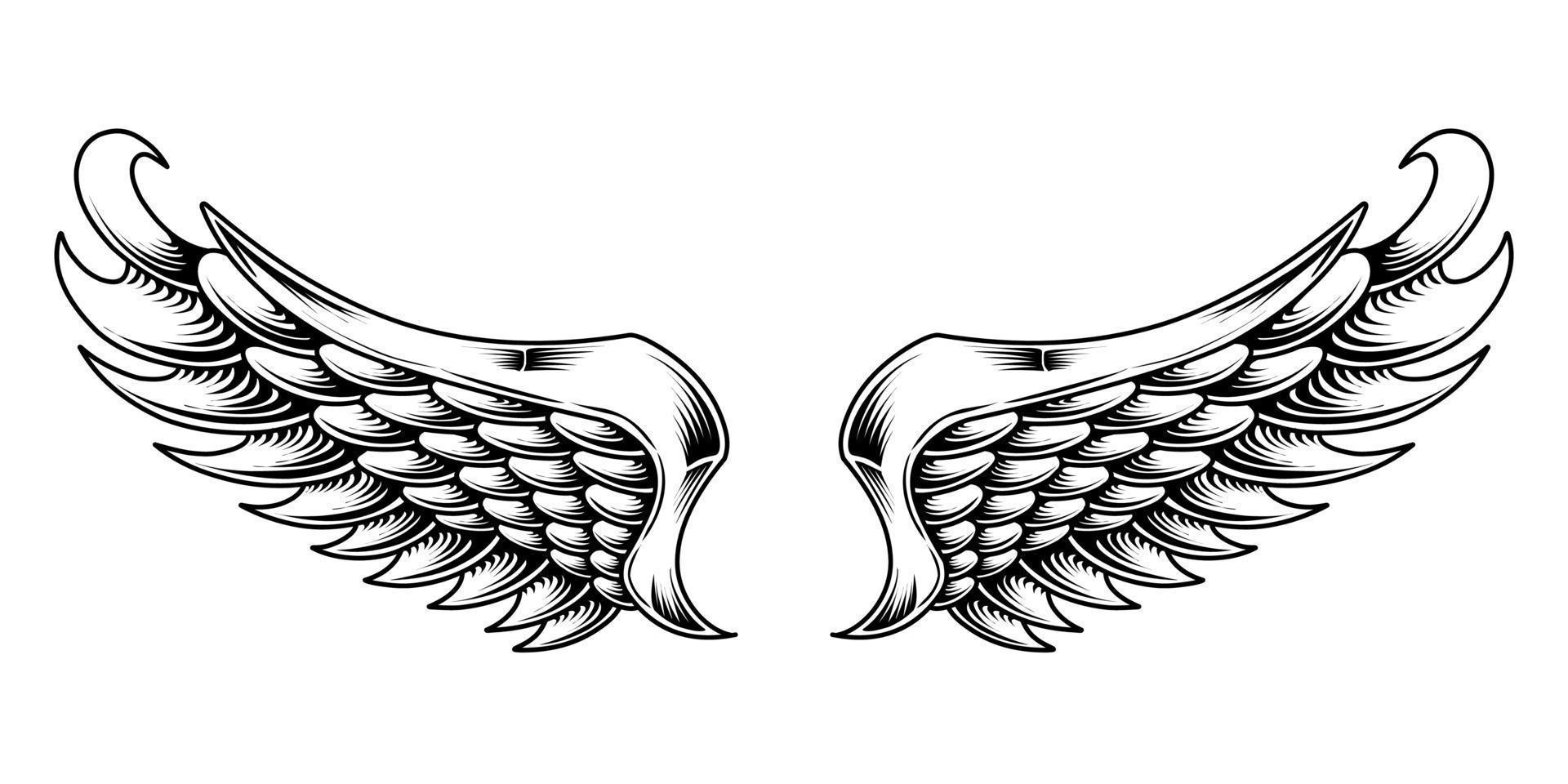 uma Preto e branco ilustração do uma par do anjo asas vetor