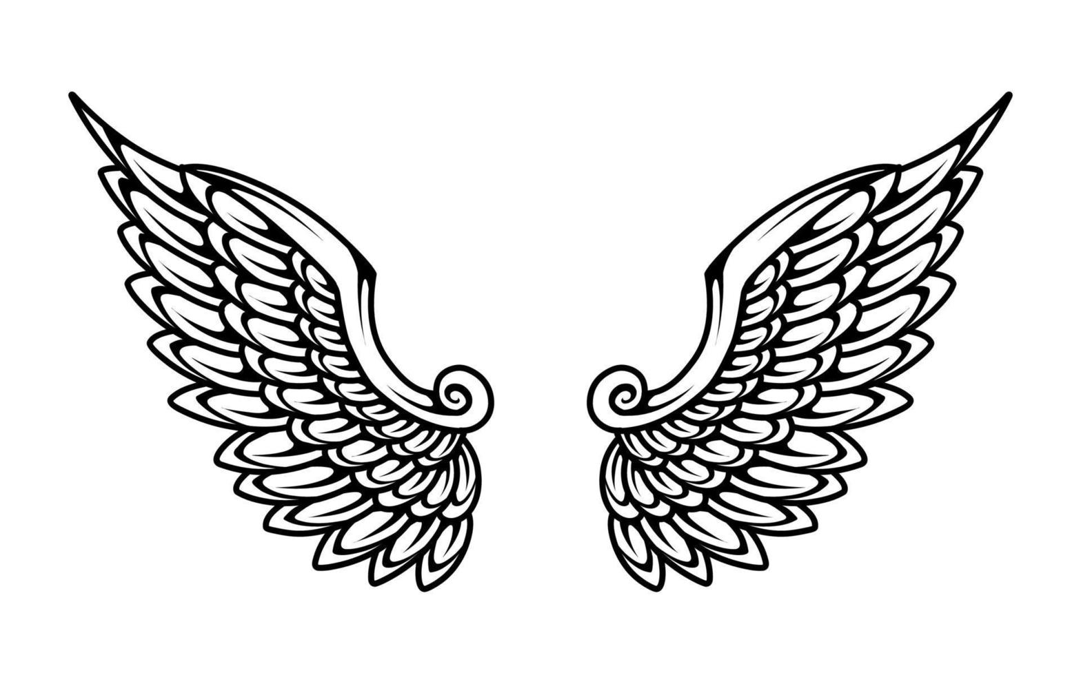 uma Preto e branco ilustração do uma par do anjo asas vetor