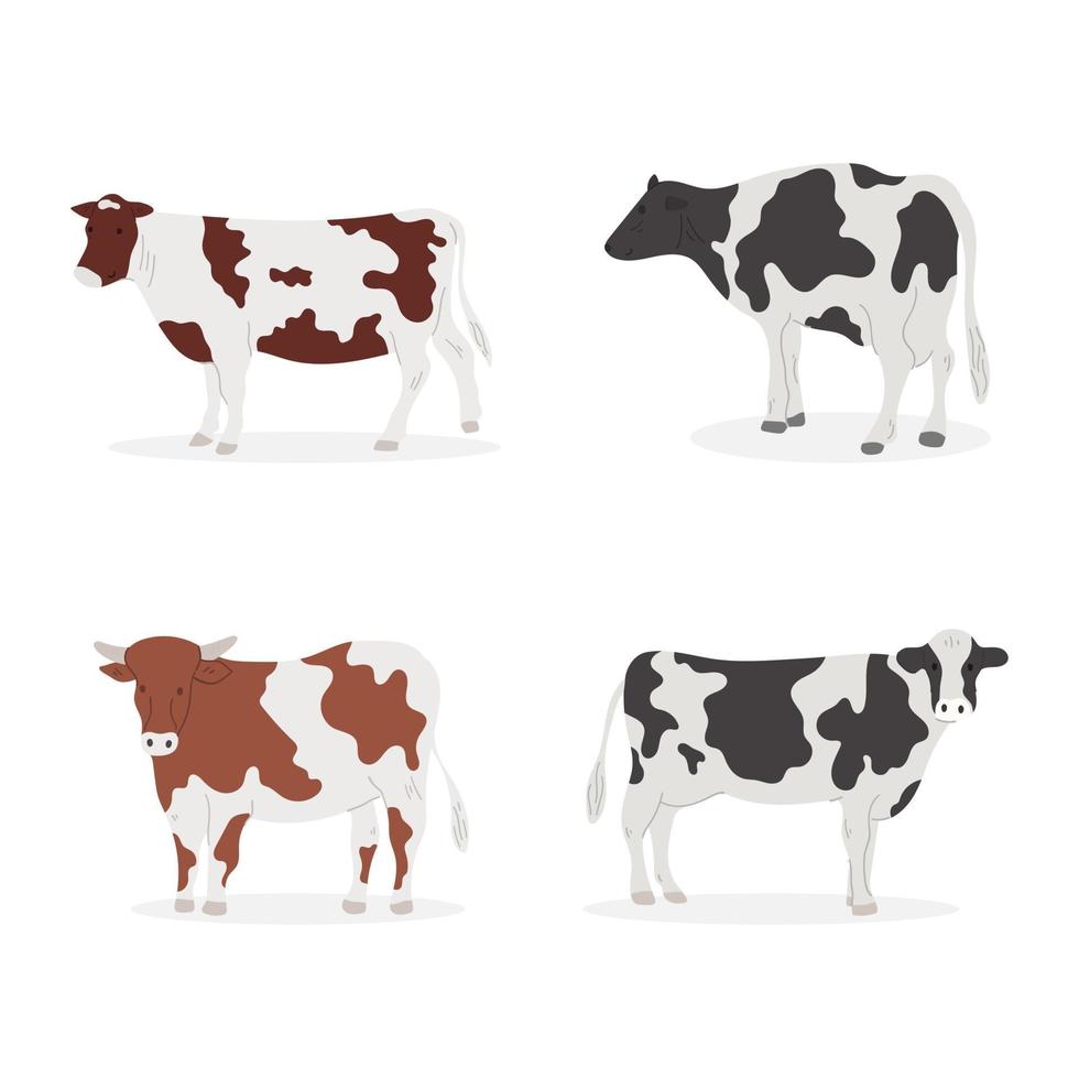 conjunto de vacas de desenhos animados. coleção de desenhos animados de vetor com vacas diferentes. ilustração vetorial plana.