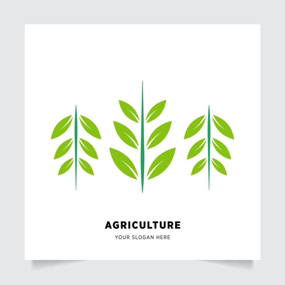 plano emblema logotipo Projeto para agricultura com a conceito do verde folhas vetor. verde natureza logotipo usava para agrícola sistemas, agricultores, e plantação produtos. logotipo modelo. vetor