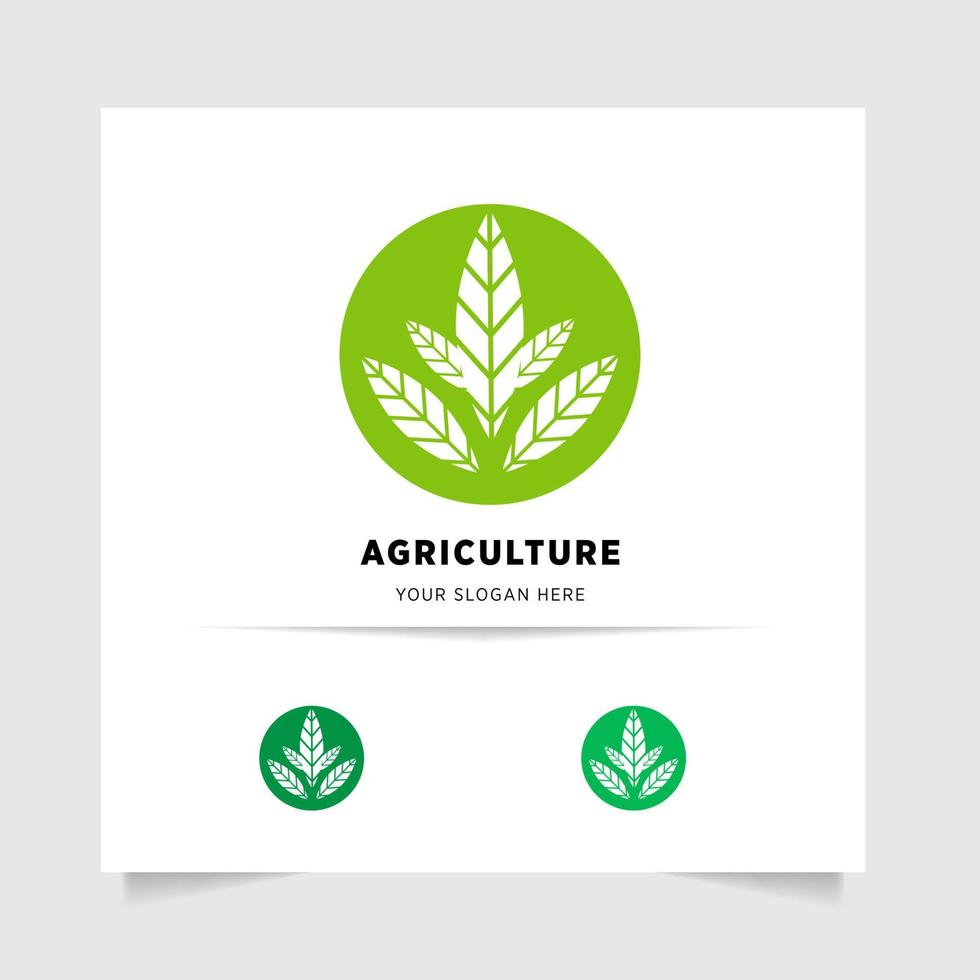 plano emblema logotipo Projeto para agricultura com a conceito do verde folhas vetor. verde natureza logotipo usava para agrícola sistemas, agricultores, e plantação produtos. logotipo modelo. vetor