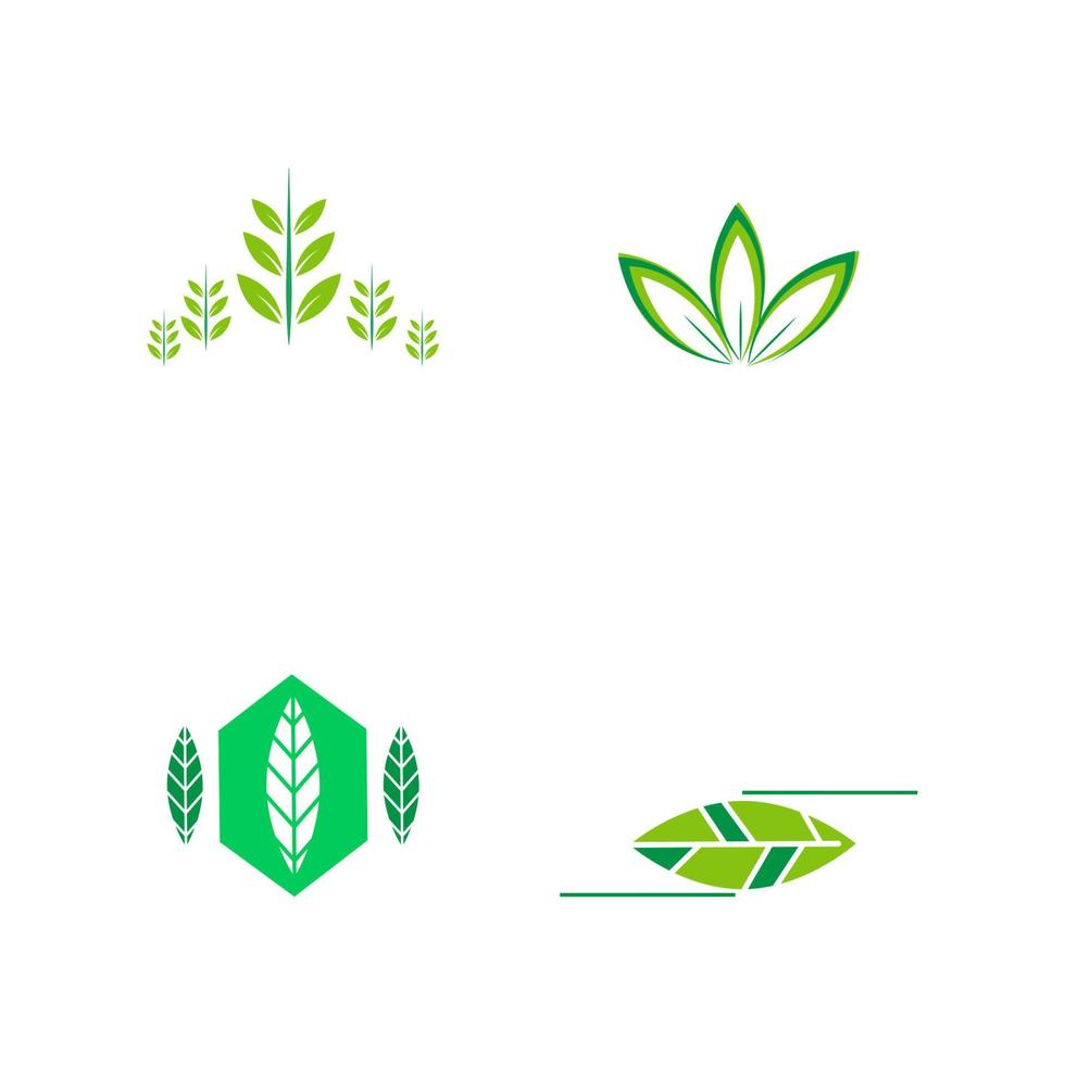 plano emblema logotipo Projeto para agricultura com a conceito do verde folhas vetor. verde natureza logotipo usava para agrícola sistemas, agricultores, e plantação produtos. logotipo modelo. vetor