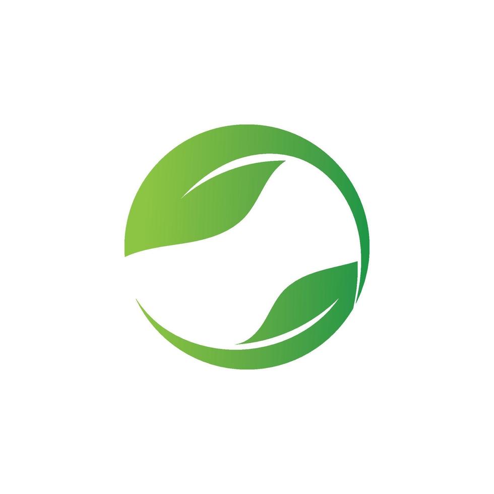 logotipos da ecologia de folhas verdes vetor