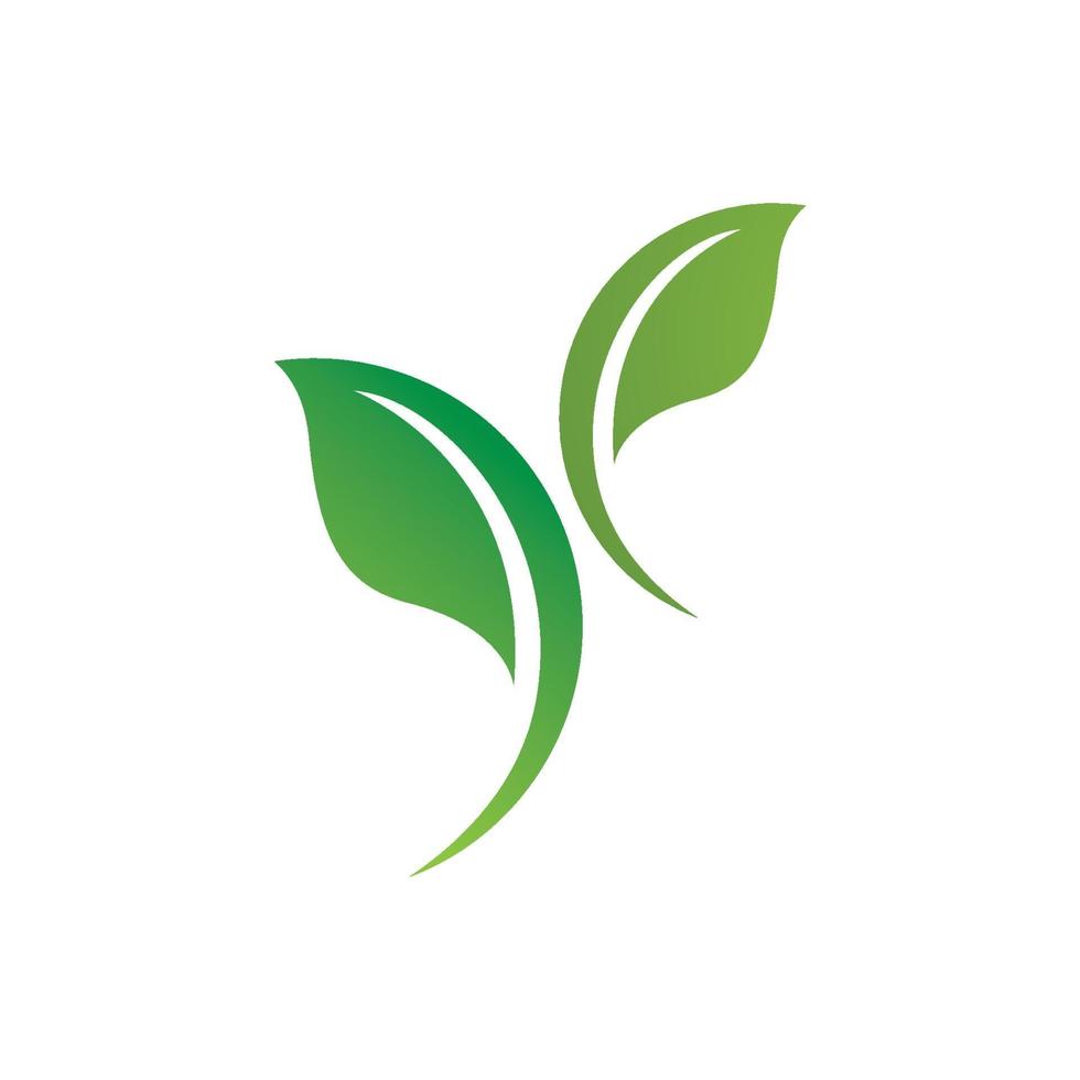 logotipos da ecologia de folhas verdes vetor